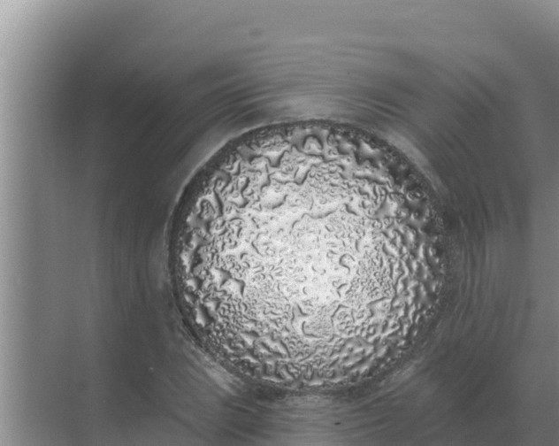 X0000071771023200607150023