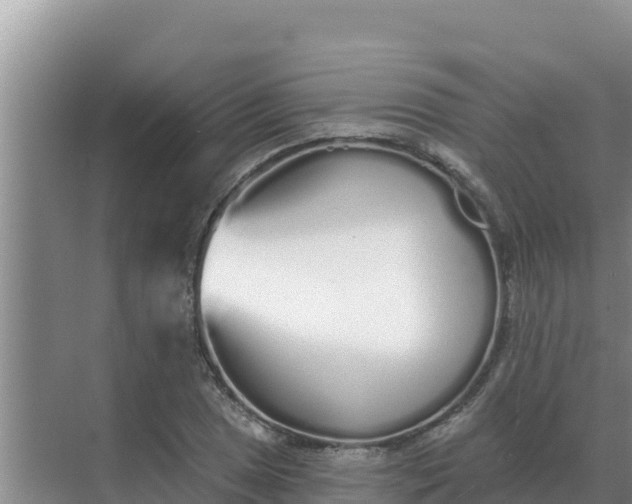 X0000071771025200607150023