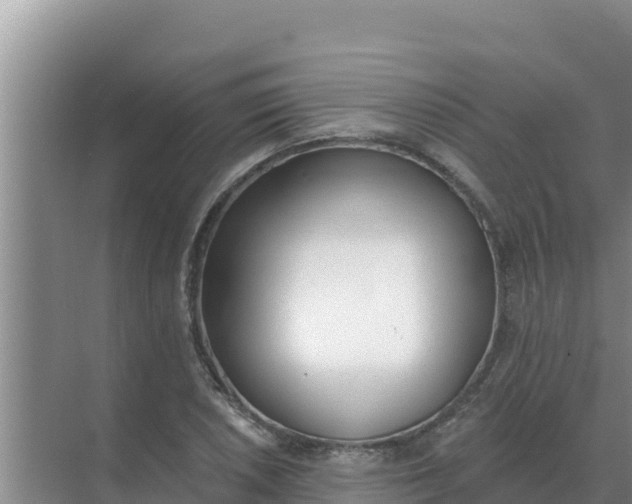 X0000071771026200607150023