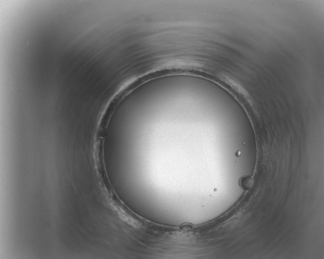 X0000071771029200607150023