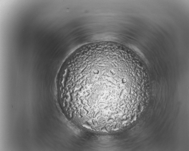 X0000071771031200607150023