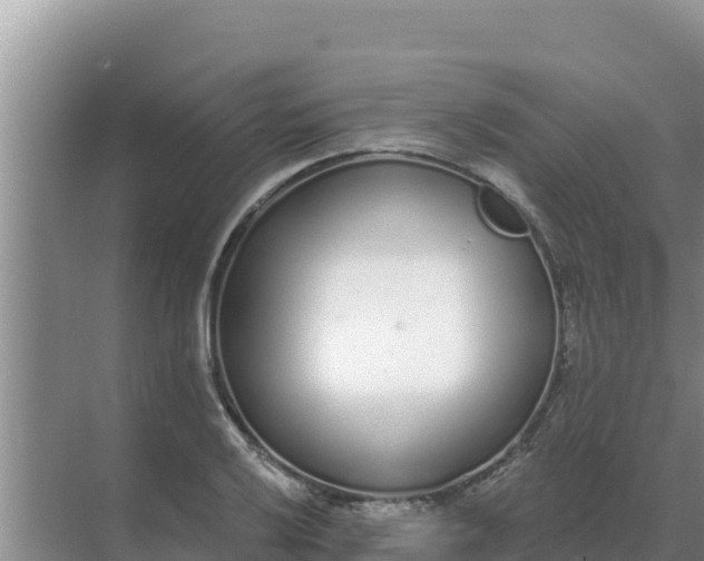 X0000071771032200607150023