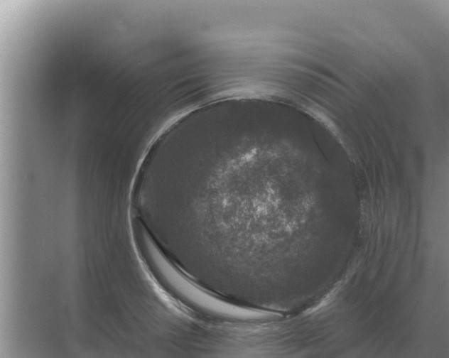 X0000071771034200607150023