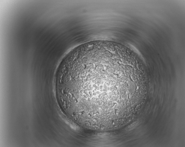 X0000071771035200607150023