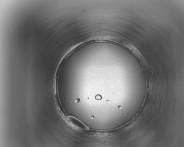 X0000071771036200607150023