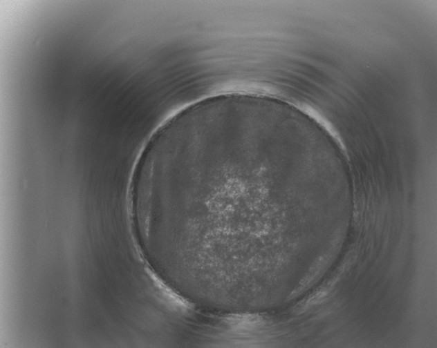 X0000071771037200607150023