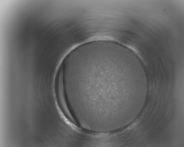 X0000071771038200607150023