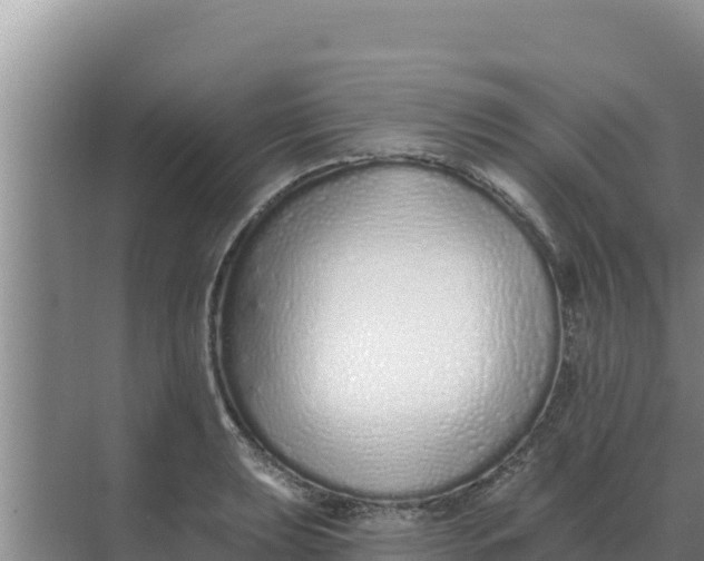 X0000071771039200607150023