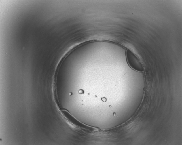 X0000071771040200607150023