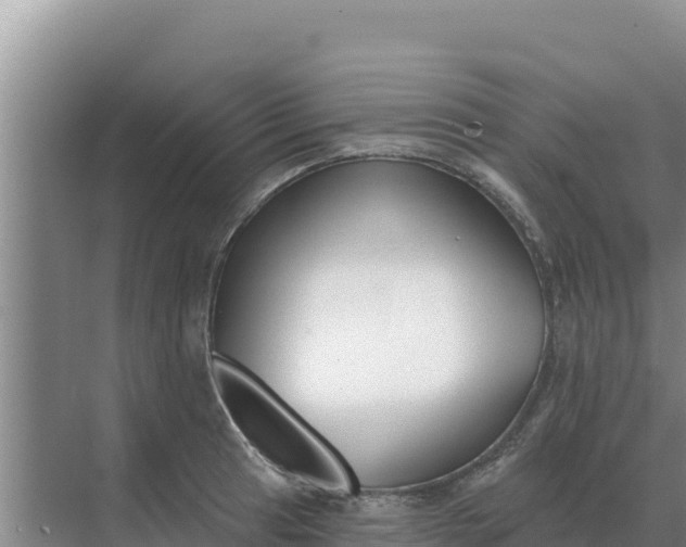 X0000071771041200607150023