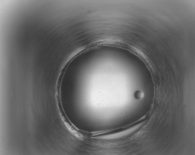 X0000071771042200607150023