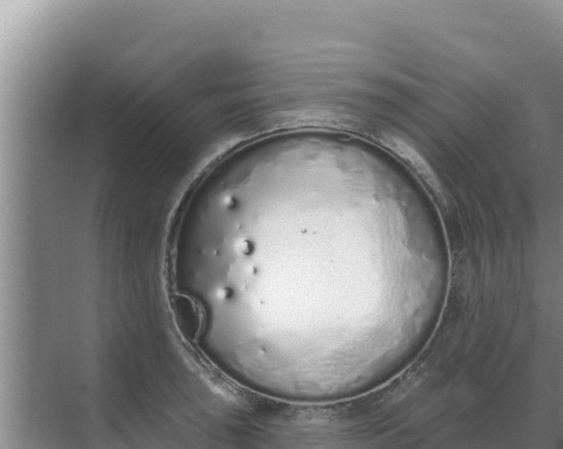 X0000071771043200607150023