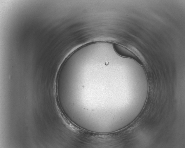 X0000071771044200607150023