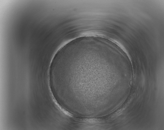 X0000071771045200607150023