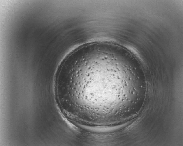 X0000071771046200607150023