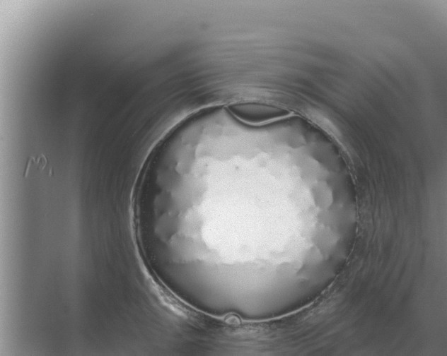 X0000071771047200607150023