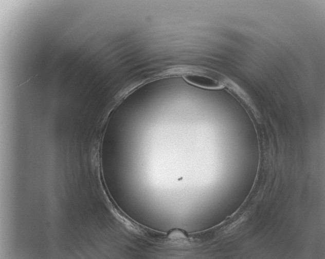 X0000071771049200607150023