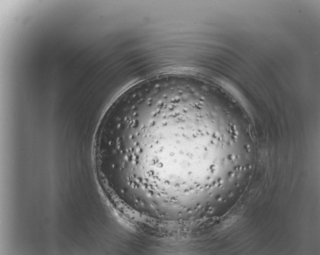 X0000071771050200607150023