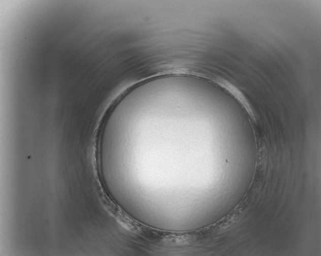 X0000071771051200607150023