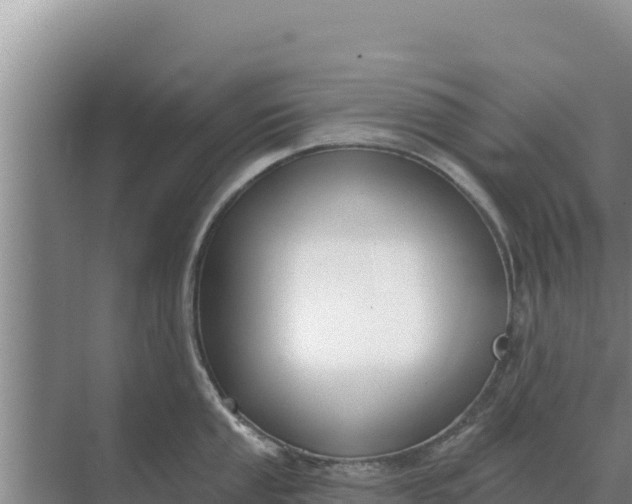 X0000071771053200607150023