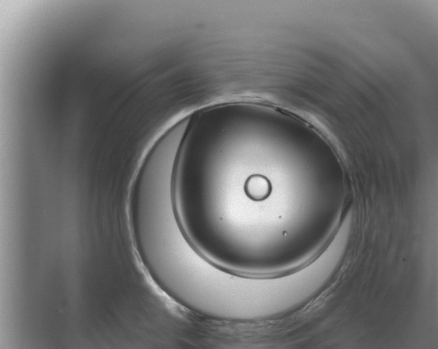 X0000071771054200607150023