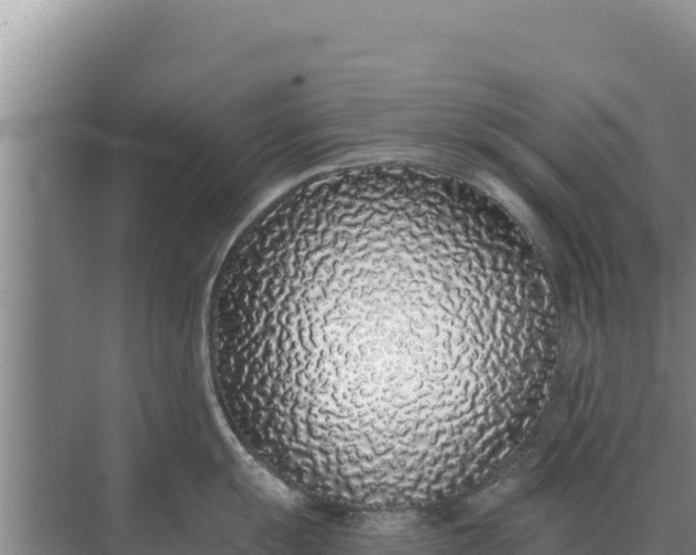 X0000071771055200607150023