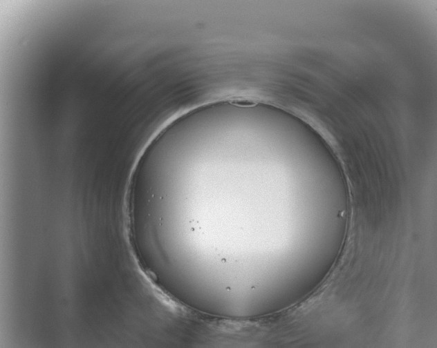 X0000071771056200607150023