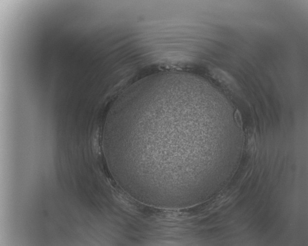 X0000071771060200607150022