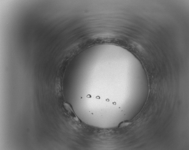 X0000071771062200607150022