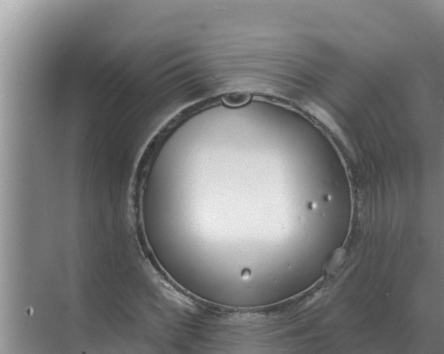 X0000071771068200607150022