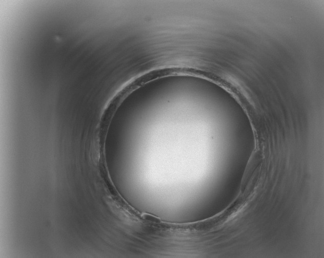 X0000071771069200607150022