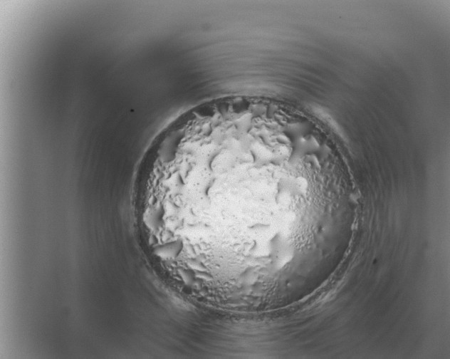 X0000071771071200607150022