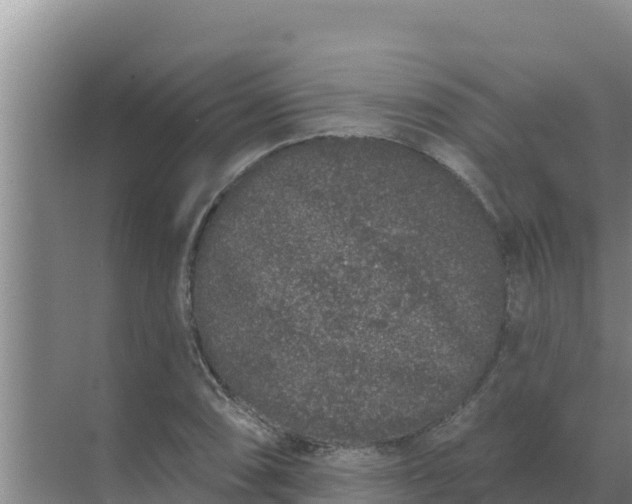 X0000071771074200607150022