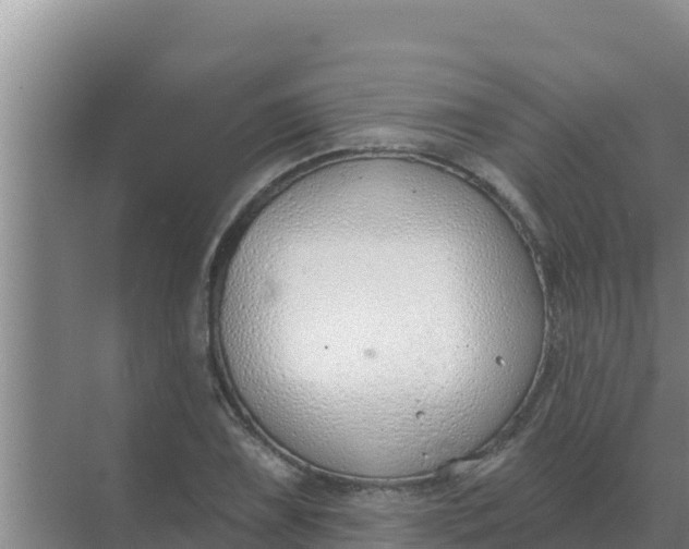 X0000071771075200607150022