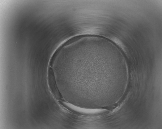 X0000071771077200607150022