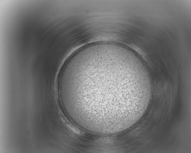 X0000071771078200607150022