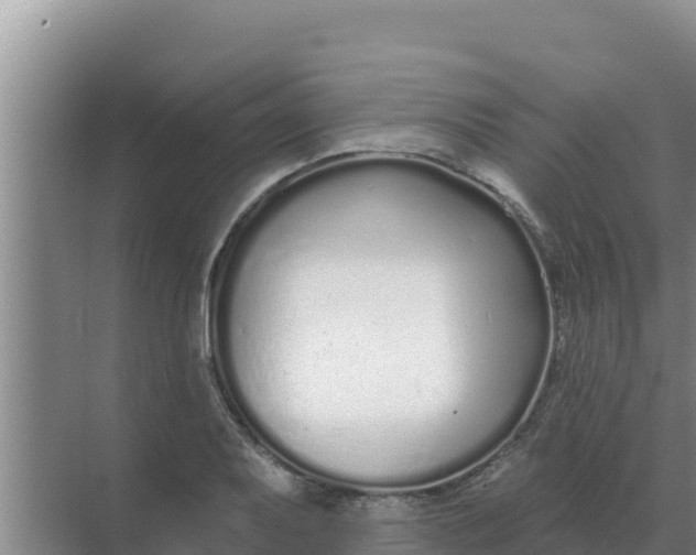 X0000071771079200607150022