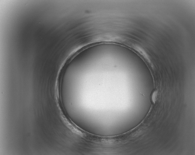 X0000071771080200607150022