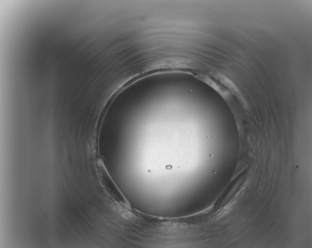 X0000071771081200607150022