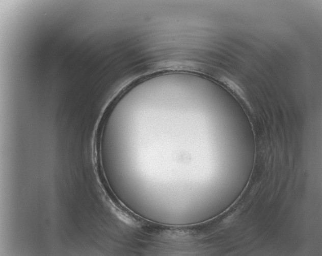 X0000071771082200607150022