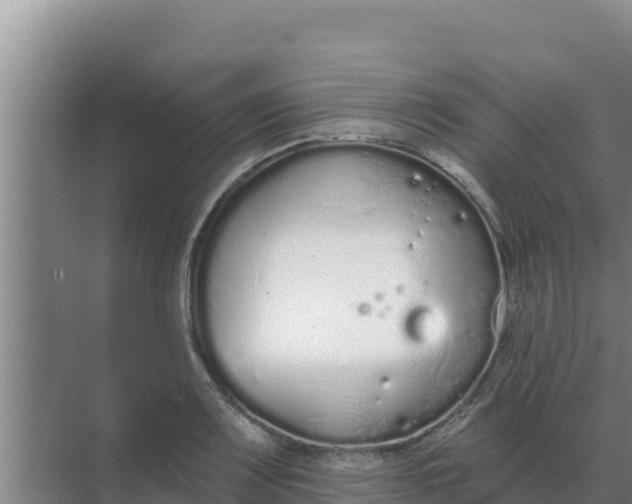 X0000071771083200607150022