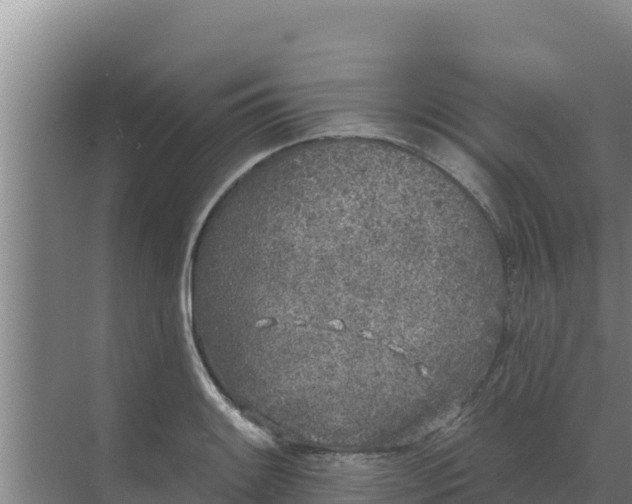 X0000071771084200607150022