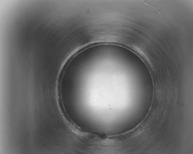 X0000071771085200607150022