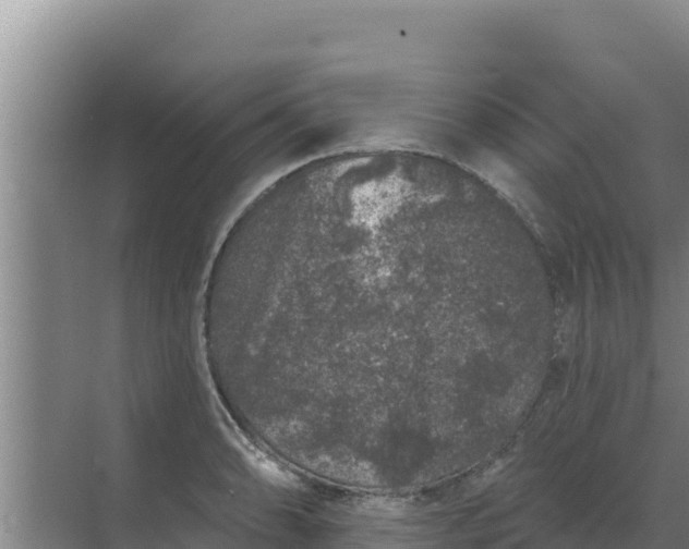 X0000071771086200607150022