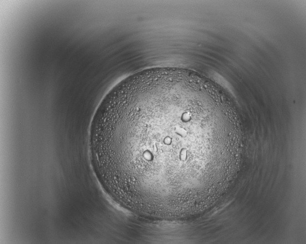 X0000071771087200607150022