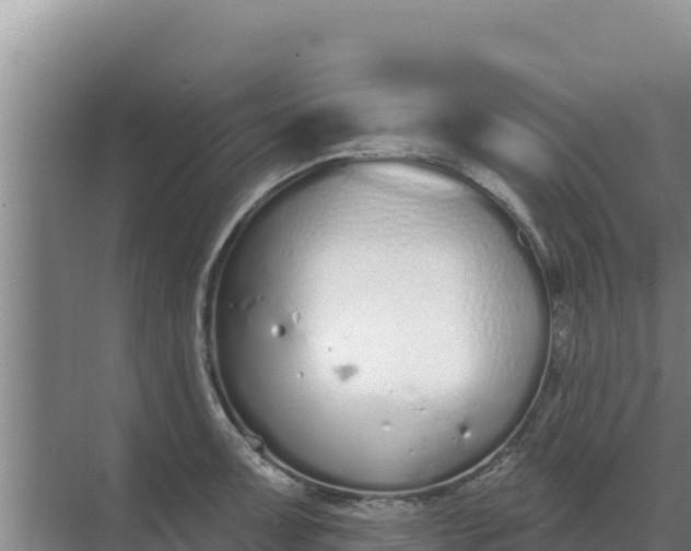 X0000071771091200607150022