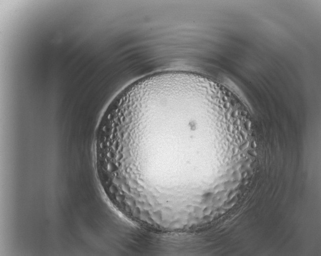 X0000071771092200607150022