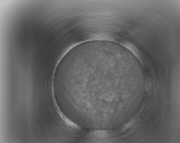 X0000071771094200607150022