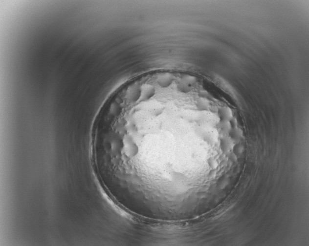 X0000071771095200607150022