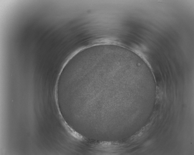 X0000071771098200607150022